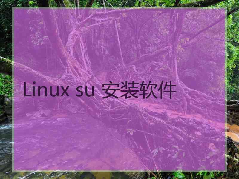 Linux su 安装软件