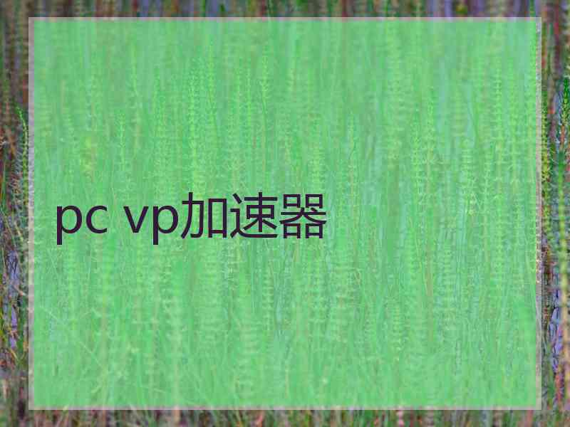 pc vp加速器