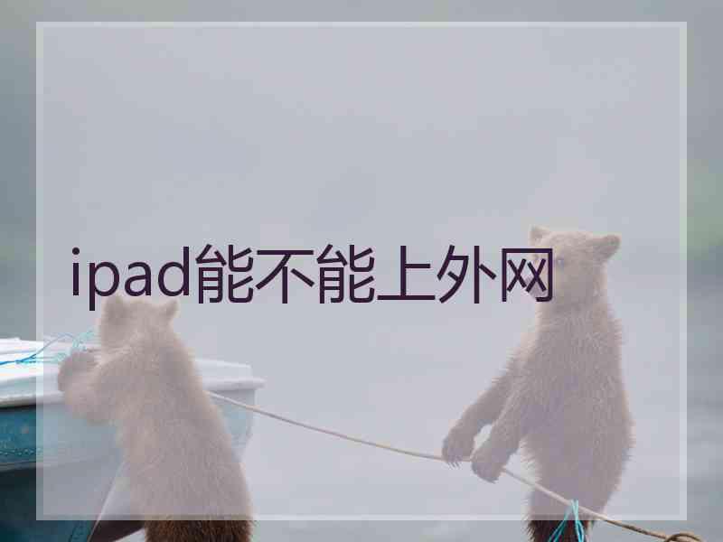 ipad能不能上外网