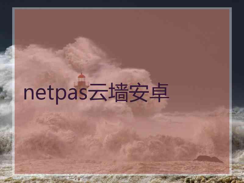 netpas云墙安卓