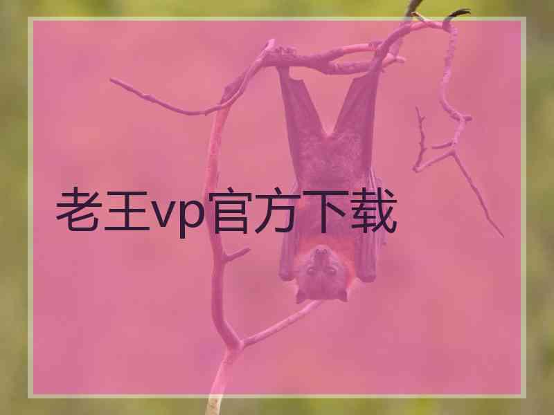 老王vp官方下载