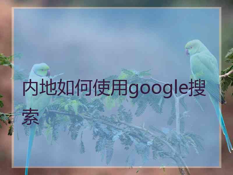 内地如何使用google搜索