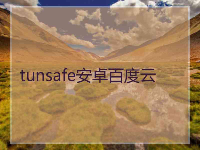 tunsafe安卓百度云