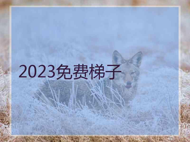 2023免费梯子