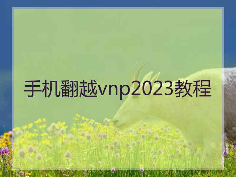 手机翻越vnp2023教程