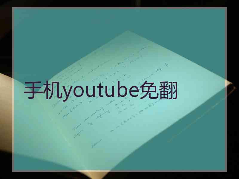 手机youtube免翻