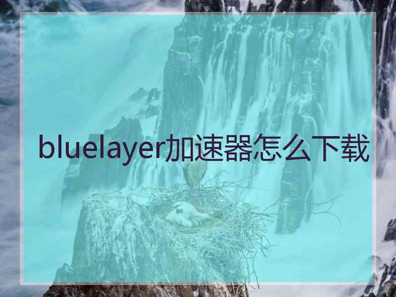 bluelayer加速器怎么下载