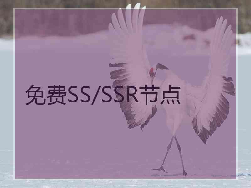 免费SS/SSR节点