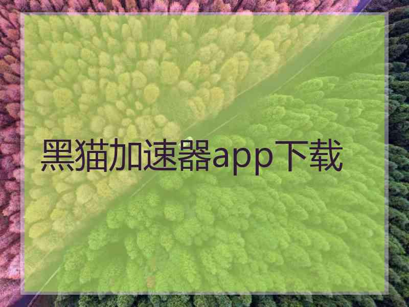 黑猫加速器app下载