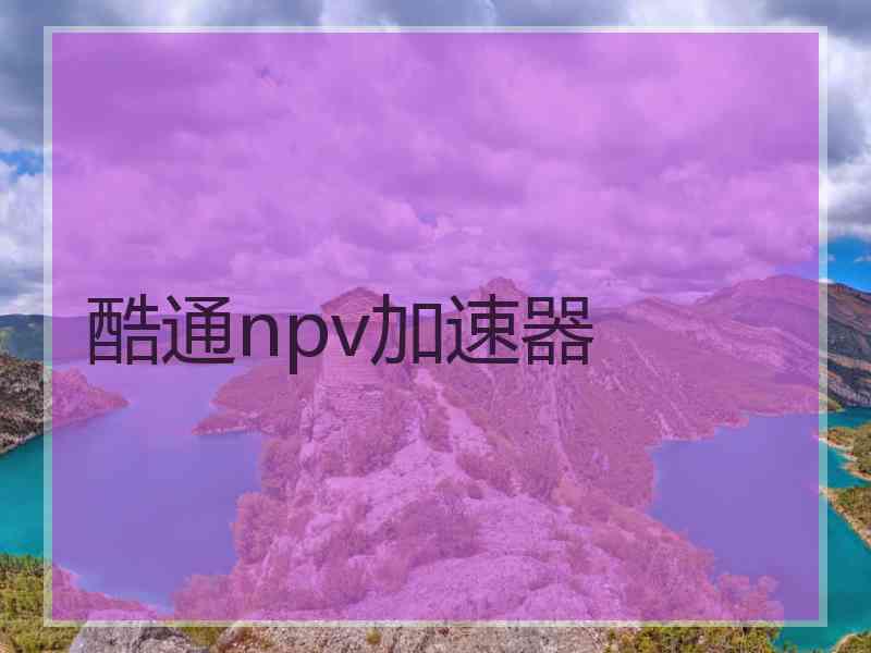 酷通npv加速器