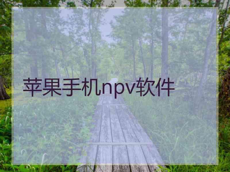 苹果手机npv软件