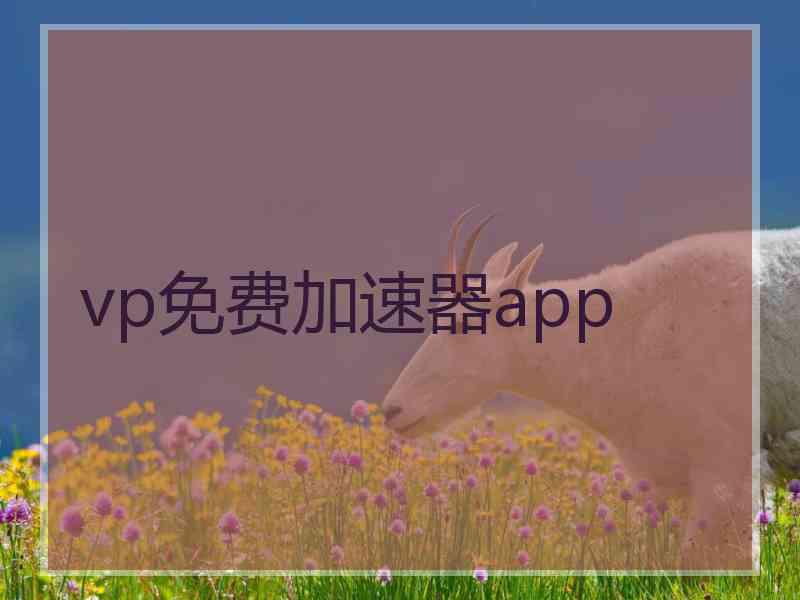 vp免费加速器app