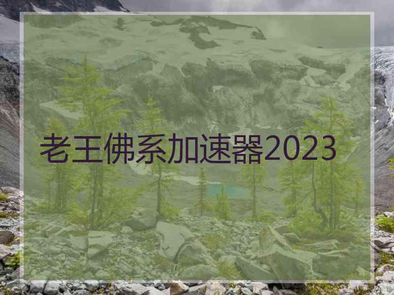 老王佛系加速器2023