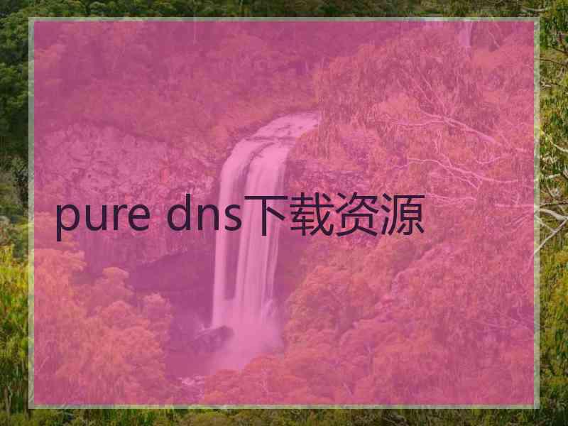 pure dns下载资源