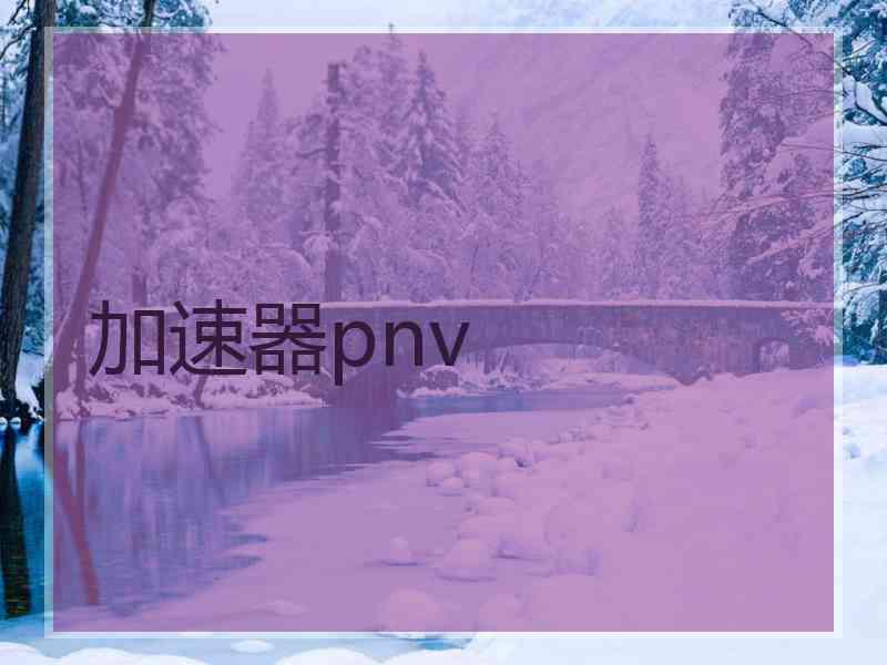 加速器pnv