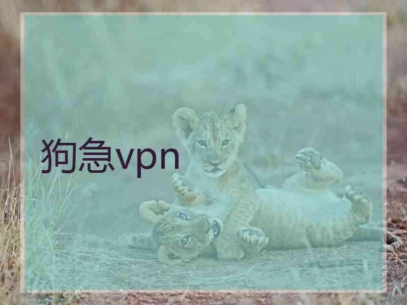 狗急vpn