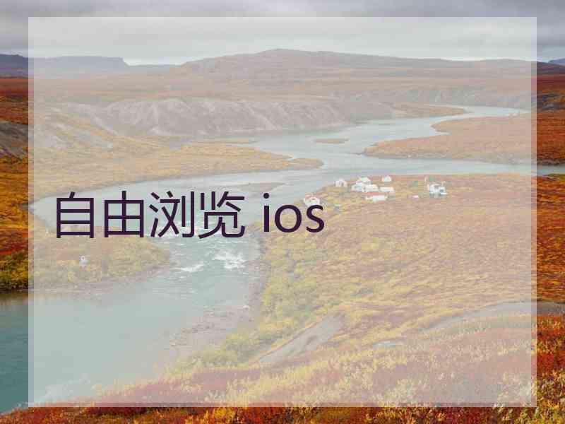 自由浏览 ios