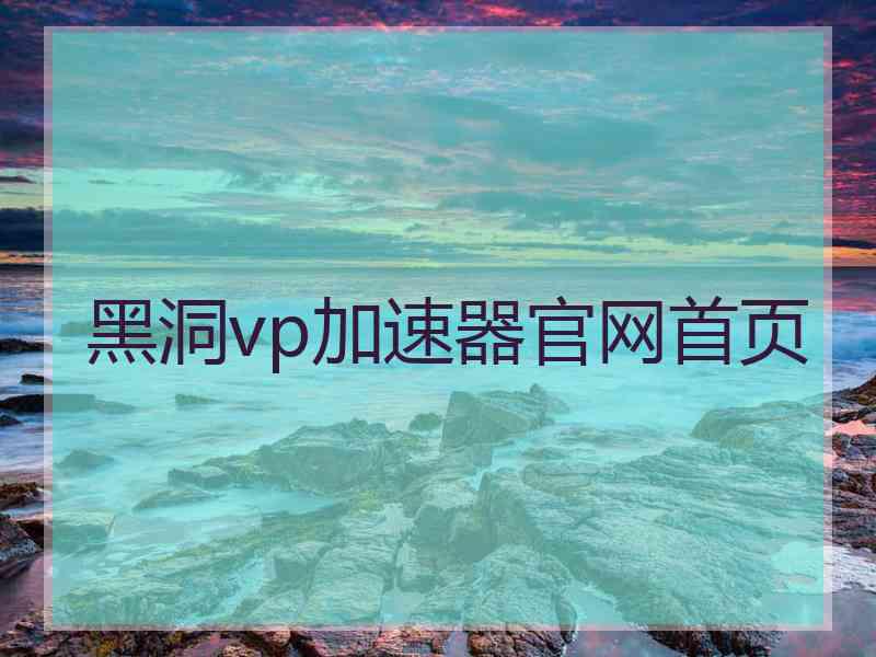 黑洞vp加速器官网首页