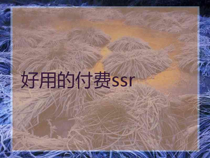 好用的付费ssr