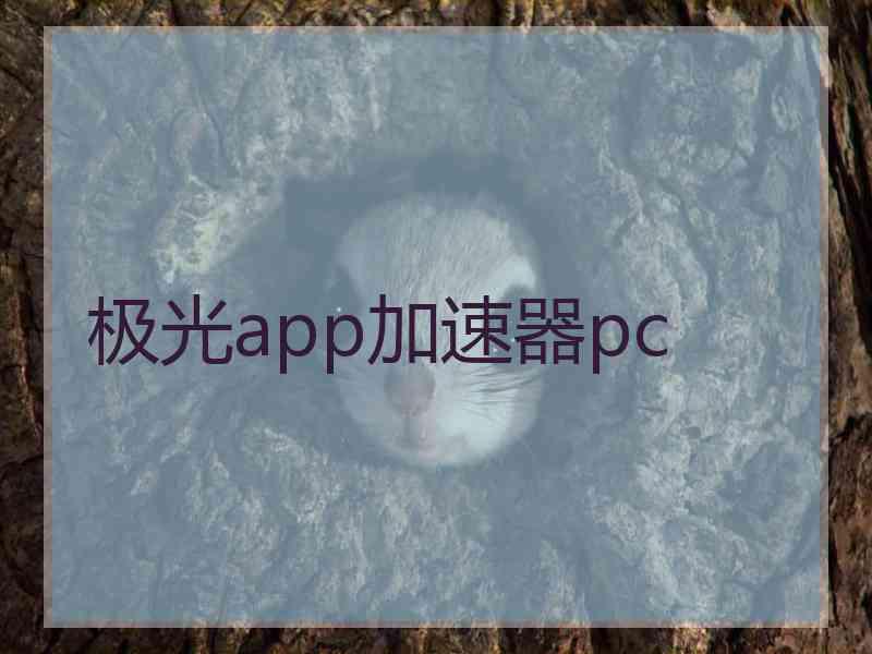 极光app加速器pc