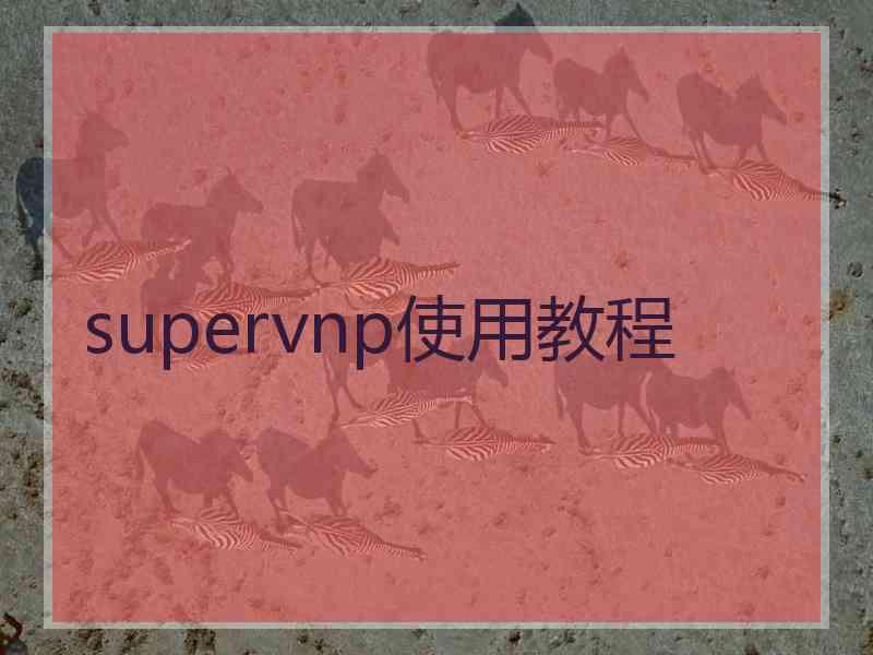 supervnp使用教程