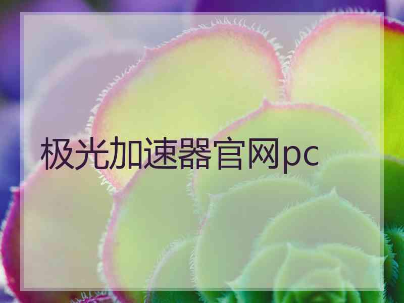 极光加速器官网pc