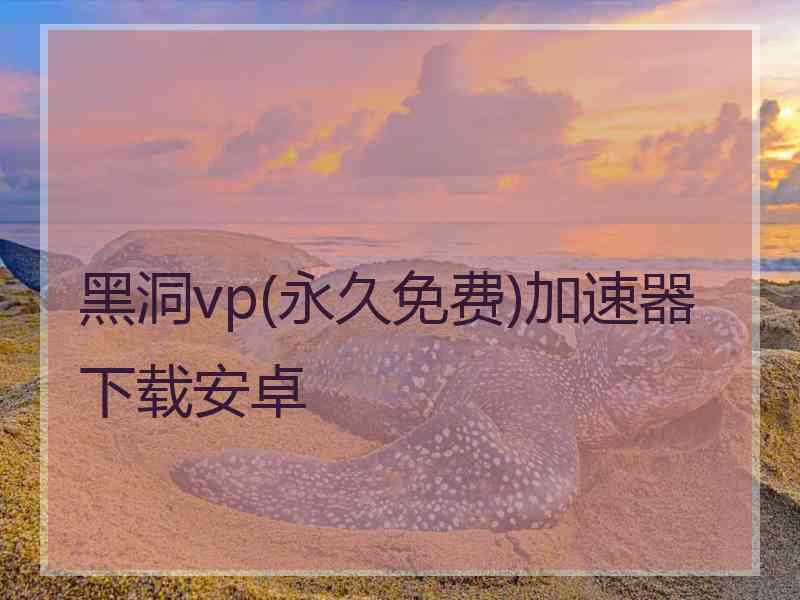 黑洞vp(永久免费)加速器下载安卓