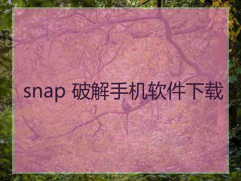 snap 破解手机软件下载