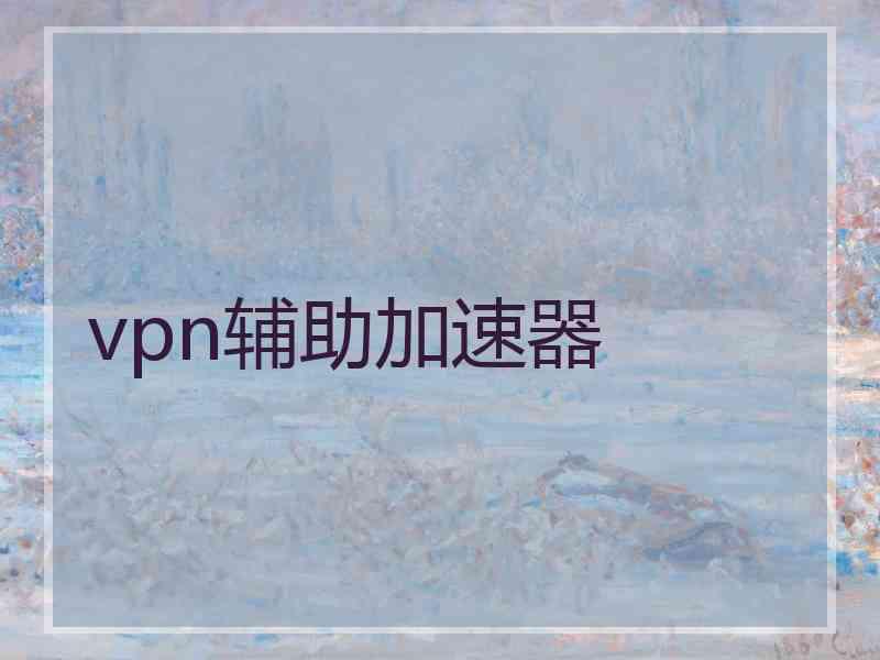 vpn辅助加速器