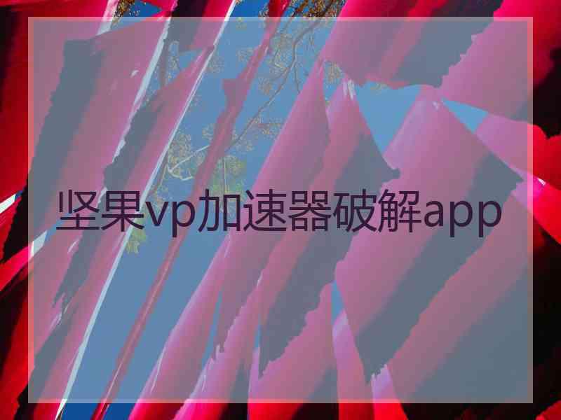 坚果vp加速器破解app