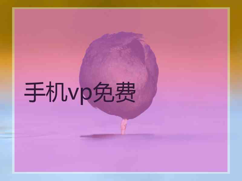 手机vp免费