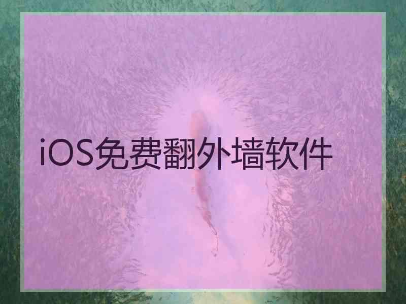 iOS免费翻外墙软件