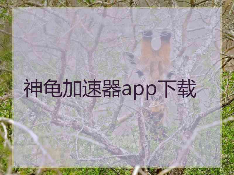 神龟加速器app下载