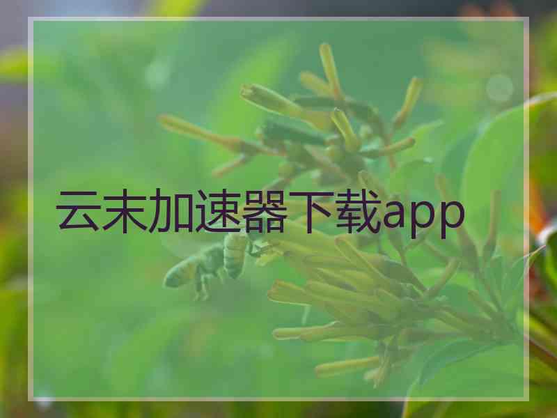 云末加速器下载app