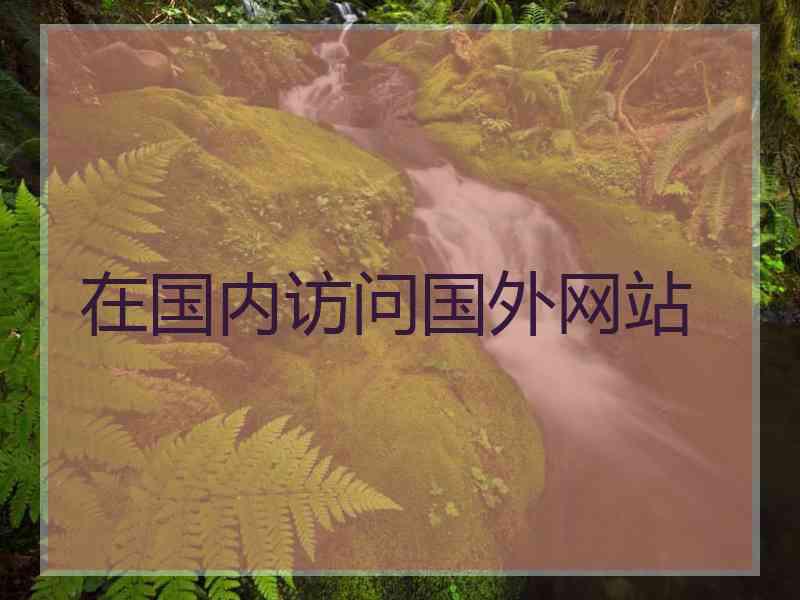 在国内访问国外网站