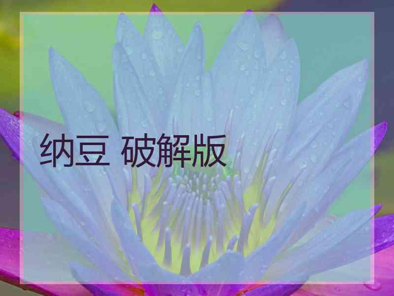 纳豆 破解版