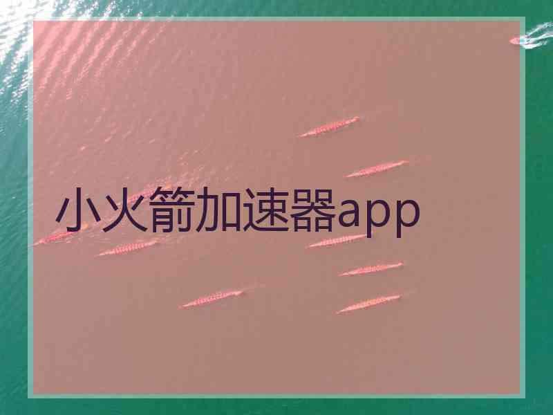 小火箭加速器app