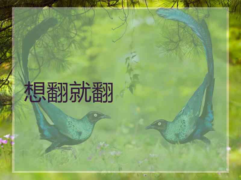 想翻就翻