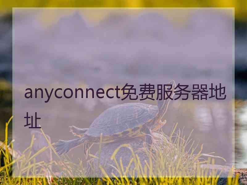 anyconnect免费服务器地址