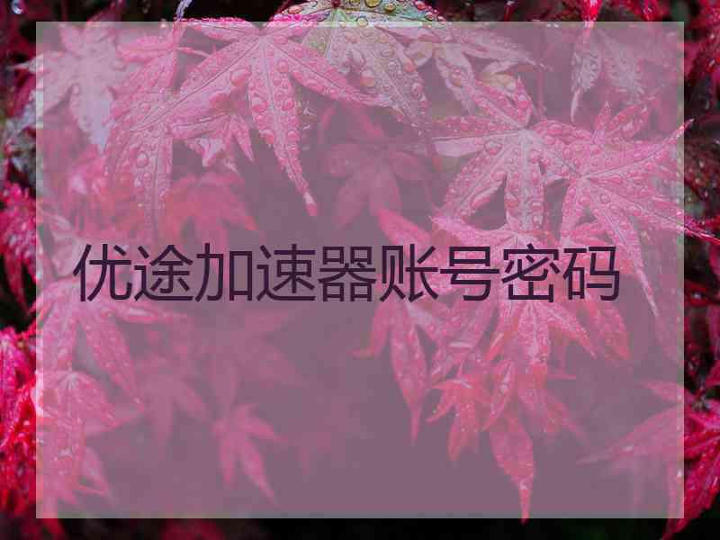 优途加速器账号密码