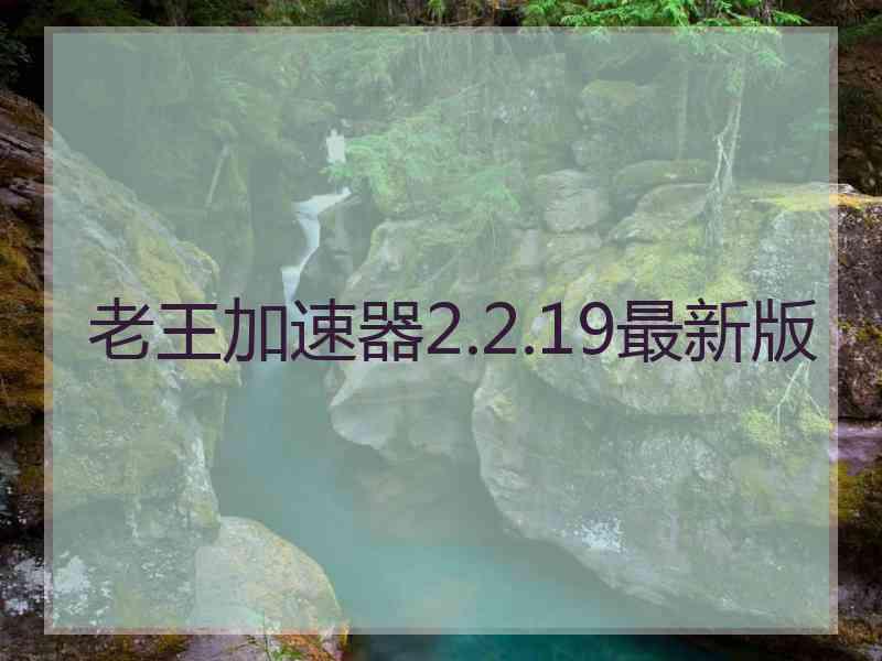 老王加速器2.2.19最新版