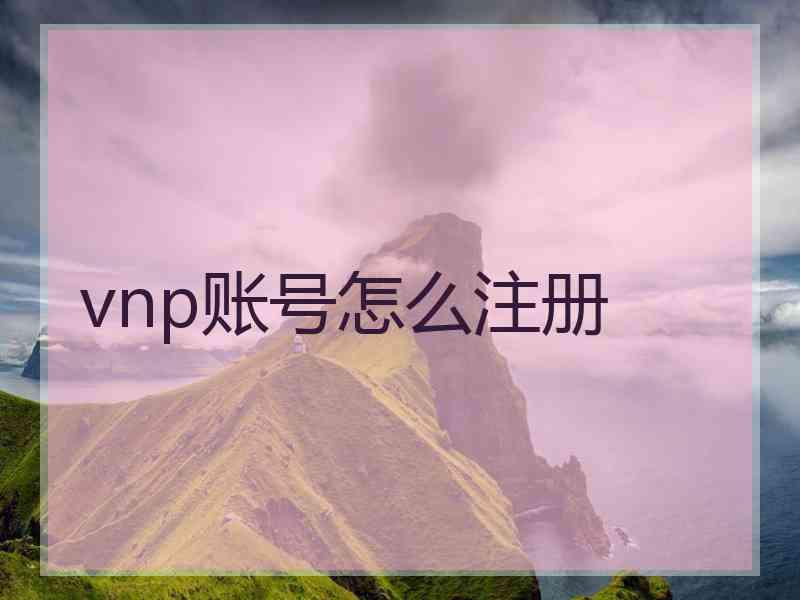 vnp账号怎么注册