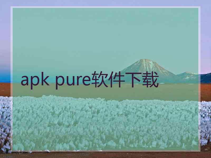 apk pure软件下载