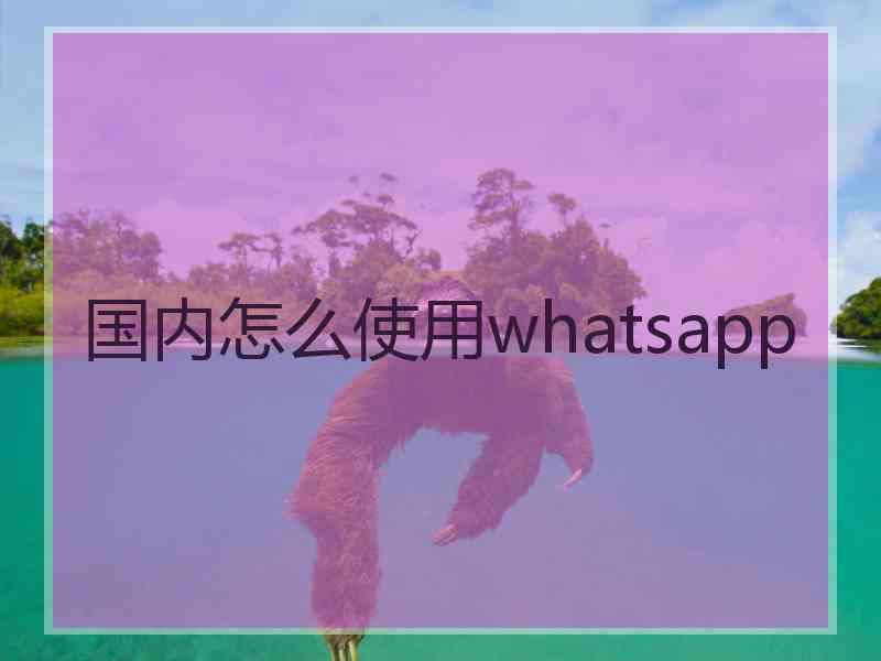 国内怎么使用whatsapp