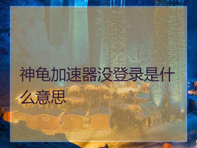 神龟加速器没登录是什么意思