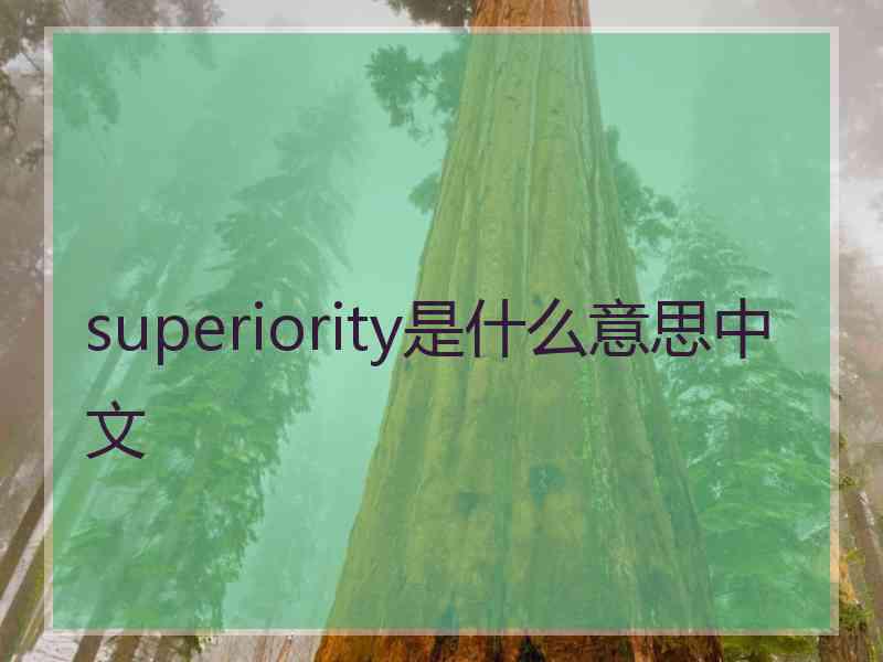superiority是什么意思中文 superiority是什么意思中文