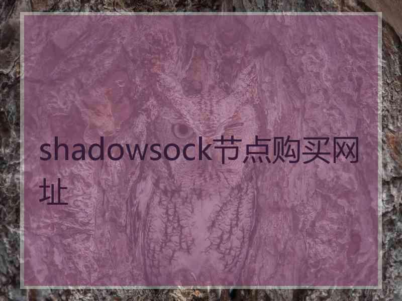 shadowsock节点购买网址