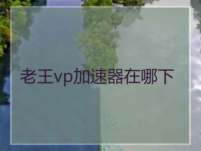 老王vp加速器在哪下