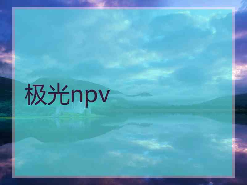 极光npv