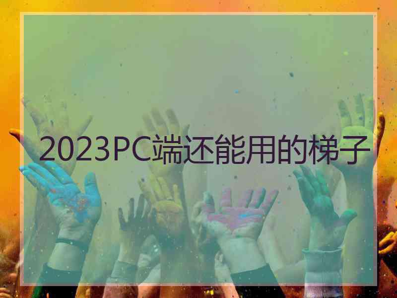 2023PC端还能用的梯子